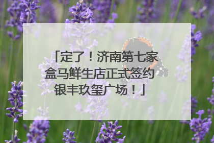 定了！济南第七家盒马鲜生店正式签约银丰玖玺广场！