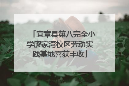 宜章县第八完全小学廖家湾校区劳动实践基地喜获丰收