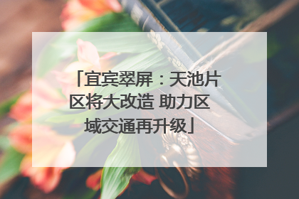 宜宾翠屏：天池片区将大改造 助力区域交通再升级