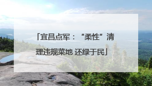 宜昌点军：“柔性”清理违规菜地 还绿于民