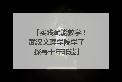 实践赋能教学！武汉文理学院学子探寻千年非遗