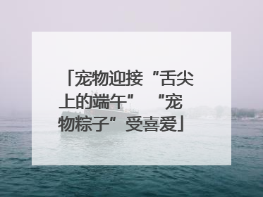 宠物迎接“舌尖上的端午” “宠物粽子”受喜爱