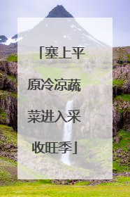 塞上平原冷凉蔬菜进入采收旺季