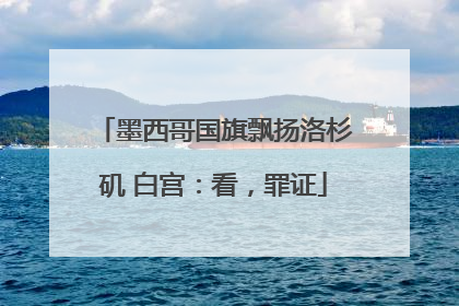墨西哥国旗飘扬洛杉矶 白宫：看，罪证