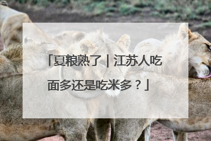 夏粮熟了｜江苏人吃面多还是吃米多？