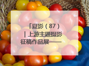 夏影（87）｜上游主题摄影征稿作品展——周社根作品