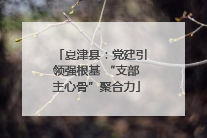 夏津县：党建引领强根基 “支部主心骨”聚合力