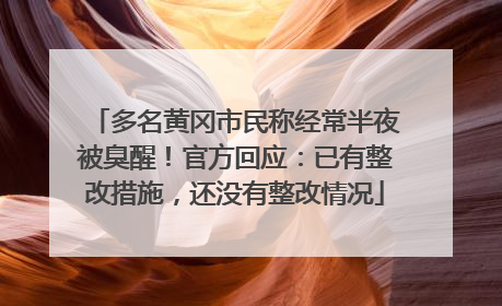 多名黄冈市民称经常半夜被臭醒！官方回应：已有整改措施，还没有整改情况