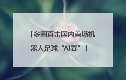 多图直击国内首场机器人足球“AI赛”