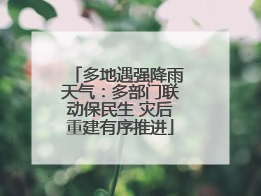 多地遇强降雨天气：多部门联动保民生 灾后重建有序推进