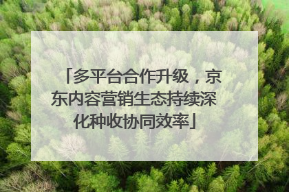多平台合作升级，京东内容营销生态持续深化种收协同效率