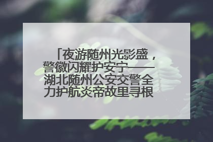 夜游随州光影盛，警徽闪耀护安宁——湖北随州公安交警全力护航炎帝故里寻根节夜游活动侧记