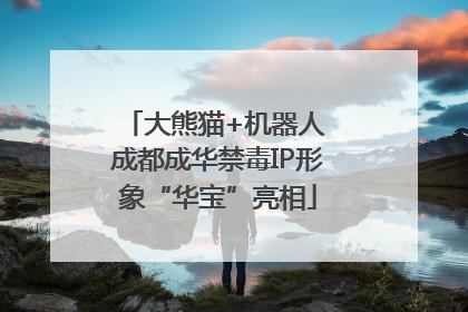大熊猫+机器人 成都成华禁毒IP形象“华宝”亮相