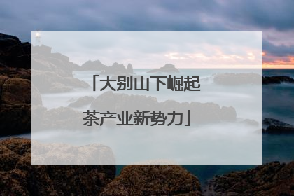 大别山下崛起茶产业新势力