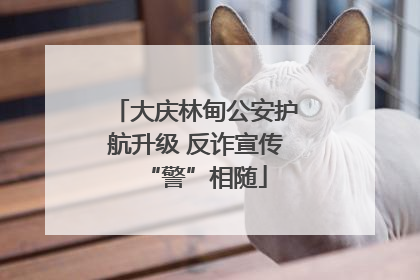大庆林甸公安护航升级 反诈宣传“警”相随