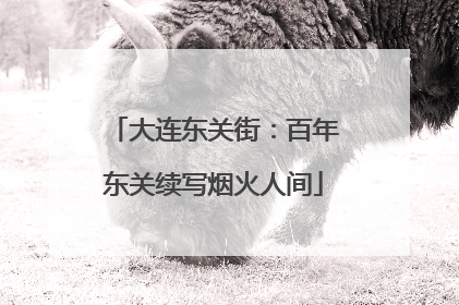 大连东关街：百年东关续写烟火人间
