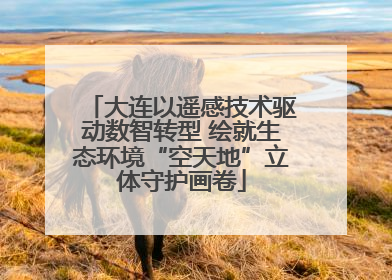 大连以遥感技术驱动数智转型 绘就生态环境“空天地”立体守护画卷