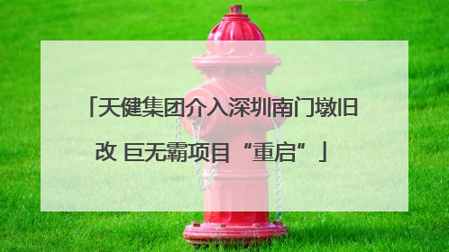 天健集团介入深圳南门墩旧改 巨无霸项目“重启”