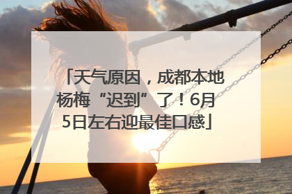 天气原因，成都本地杨梅“迟到”了！6月5日左右迎最佳口感