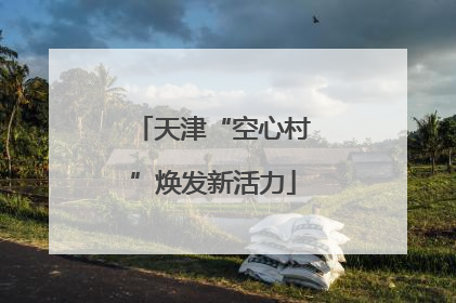 天津“空心村”焕发新活力