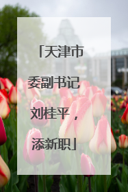 天津市委副书记刘桂平，添新职