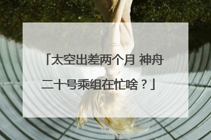 太空出差两个月 神舟二十号乘组在忙啥？