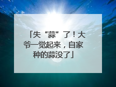 失“蒜”了！大爷一觉起来，自家种的蒜没了