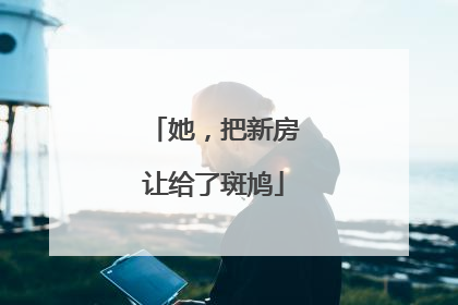 她，把新房让给了斑鸠