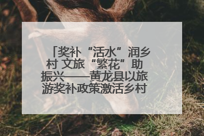 奖补“活水”润乡村 文旅“繁花”助振兴——黄龙县以旅游奖补政策激活乡村振兴新动能