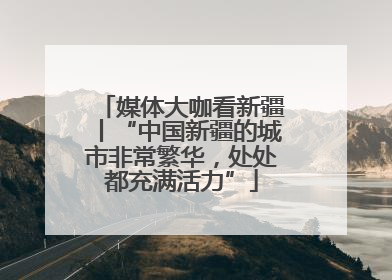 媒体大咖看新疆丨“中国新疆的城市非常繁华，处处都充满活力”