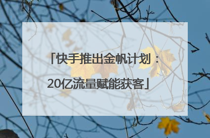 快手推出金帆计划：20亿流量赋能获客
