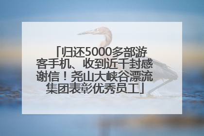 归还5000多部游客手机、收到近千封感谢信！尧山大峡谷漂流集团表彰优秀员工