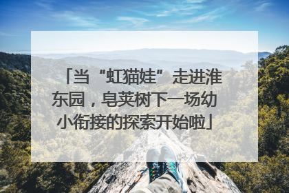 当“虹猫娃”走进淮东园，皂荚树下一场幼小衔接的探索开始啦