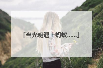 当光明遇上蚂蚁……