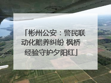 彬州公安：警民联动化赡养纠纷 枫桥经验守护夕阳红