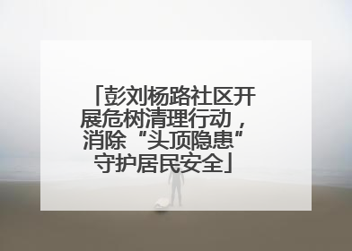 彭刘杨路社区开展危树清理行动，消除“头顶隐患”守护居民安全