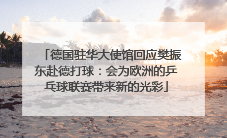 德国驻华大使馆回应樊振东赴德打球：会为欧洲的乒乓球联赛带来新的光彩