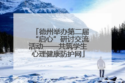 德州举办第二届“启心”研讨交流活动——共筑学生心理健康防护网