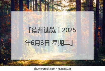 德州速览丨2025年6月3日 星期二