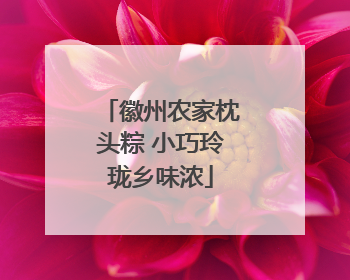 徽州农家枕头粽 小巧玲珑乡味浓