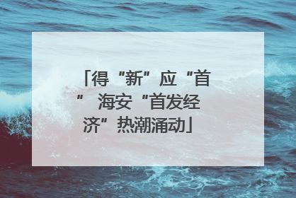 得“新”应“首” 海安“首发经济”热潮涌动