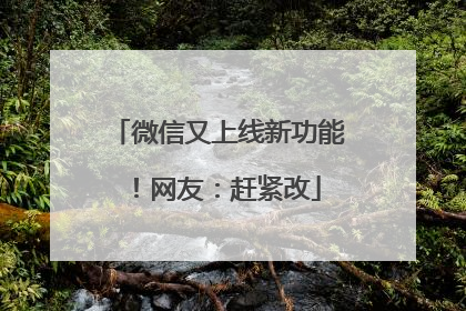 微信又上线新功能！网友：赶紧改