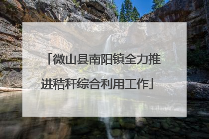 微山县南阳镇全力推进秸秆综合利用工作