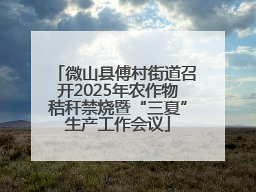 微山县傅村街道召开2025年农作物秸秆禁烧暨“三夏”生产工作会议