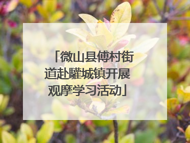 微山县傅村街道赴驩城镇开展观摩学习活动