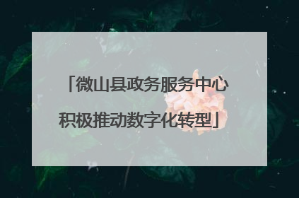 微山县政务服务中心积极推动数字化转型