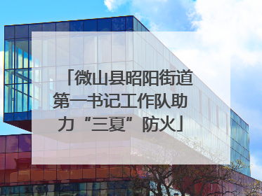 微山县昭阳街道第一书记工作队助力“三夏”防火