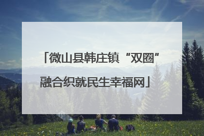 微山县韩庄镇“双圈”融合织就民生幸福网