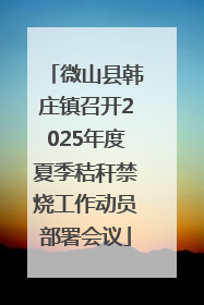 微山县韩庄镇召开2025年度夏季秸秆禁烧工作动员部署会议