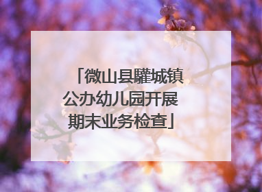 微山县驩城镇公办幼儿园开展期末业务检查